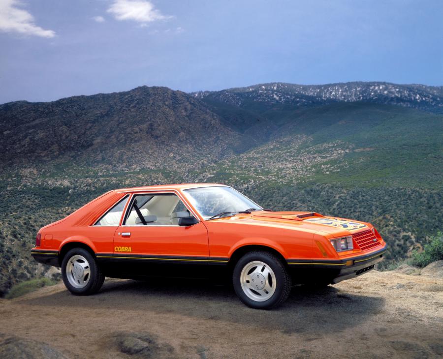 Ford Mustang 1979 года  (фото 12 из 28)